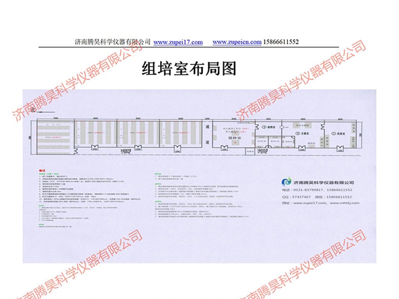 麻豆精品一区二区综合AV室