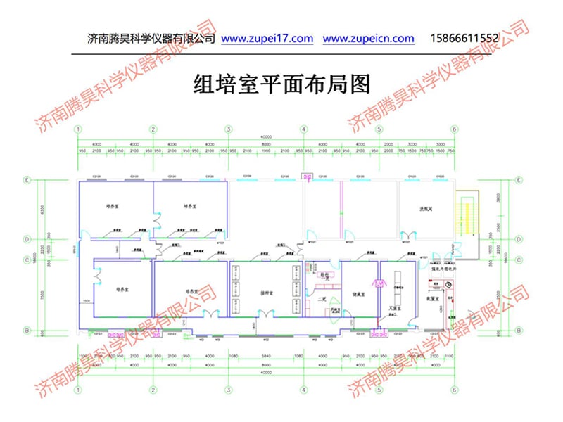 麻豆精品一区二区综合AV室