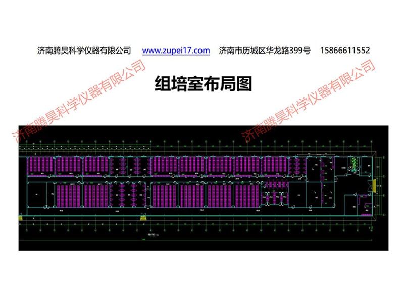 麻豆精品一区二区综合AV  麻豆精品一区二区综合AV室