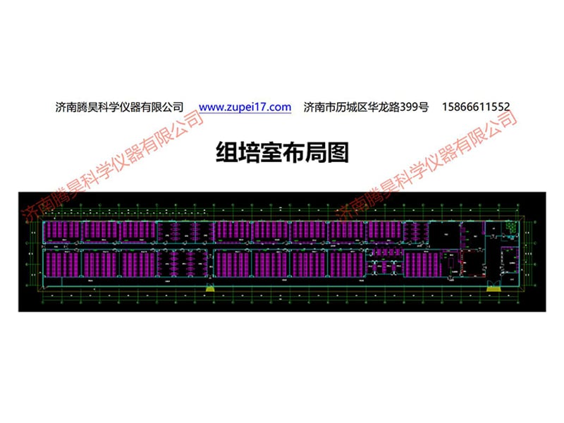 浙江植物麻豆精品一区二区综合AV實驗