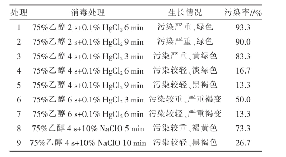 麻豆精品一区二区综合AV室