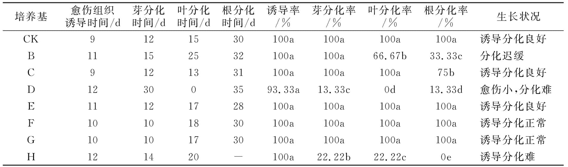 麻豆精品一区二区综合AV設計圖