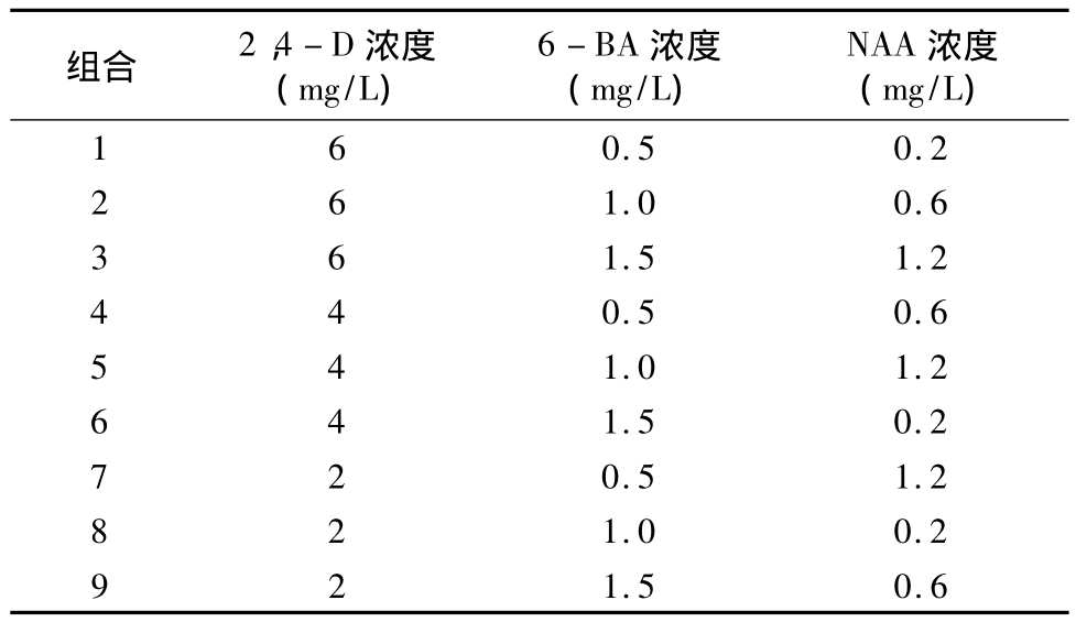 麻豆精品一区二区综合AV實驗室