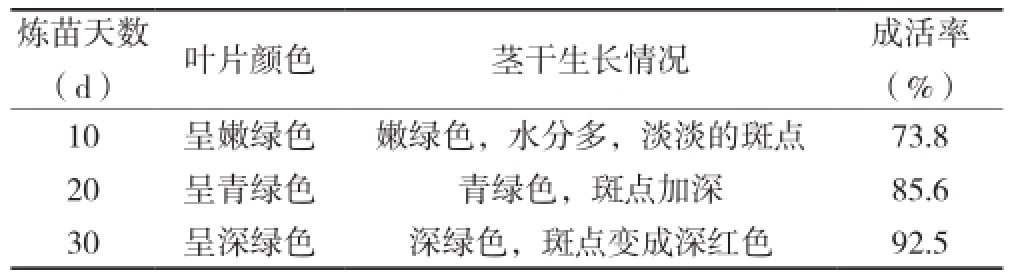 麻豆精品一区二区综合AV室設計